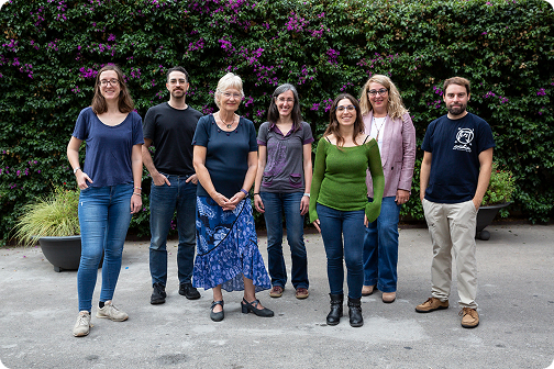 Research Groups image
