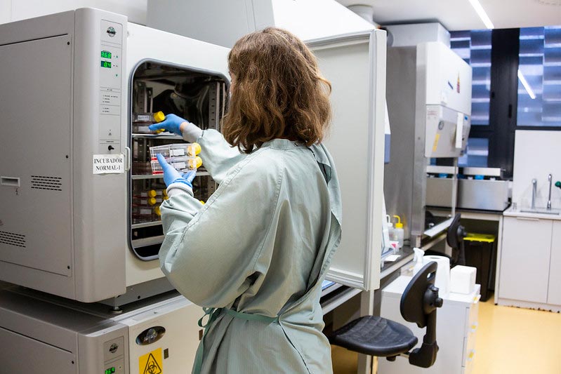 Cell cultures