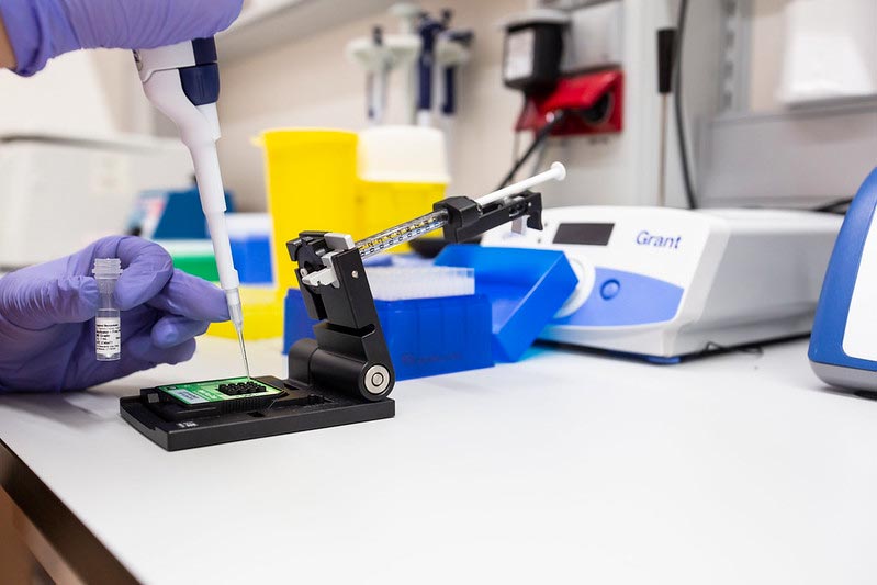 Genomics and transcriptomics