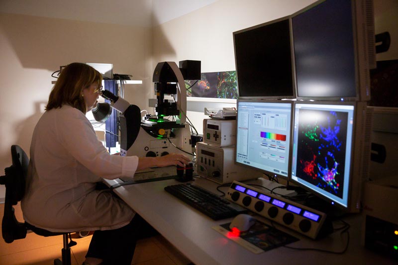 Microscopy